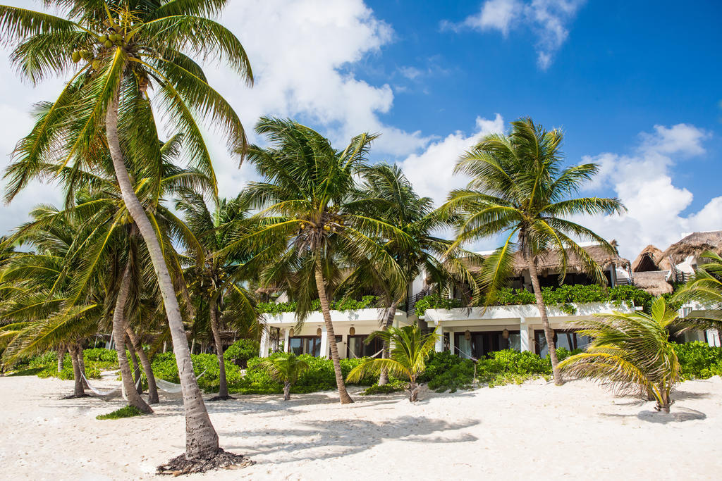 The Beach Tulum Hotel المظهر الخارجي الصورة