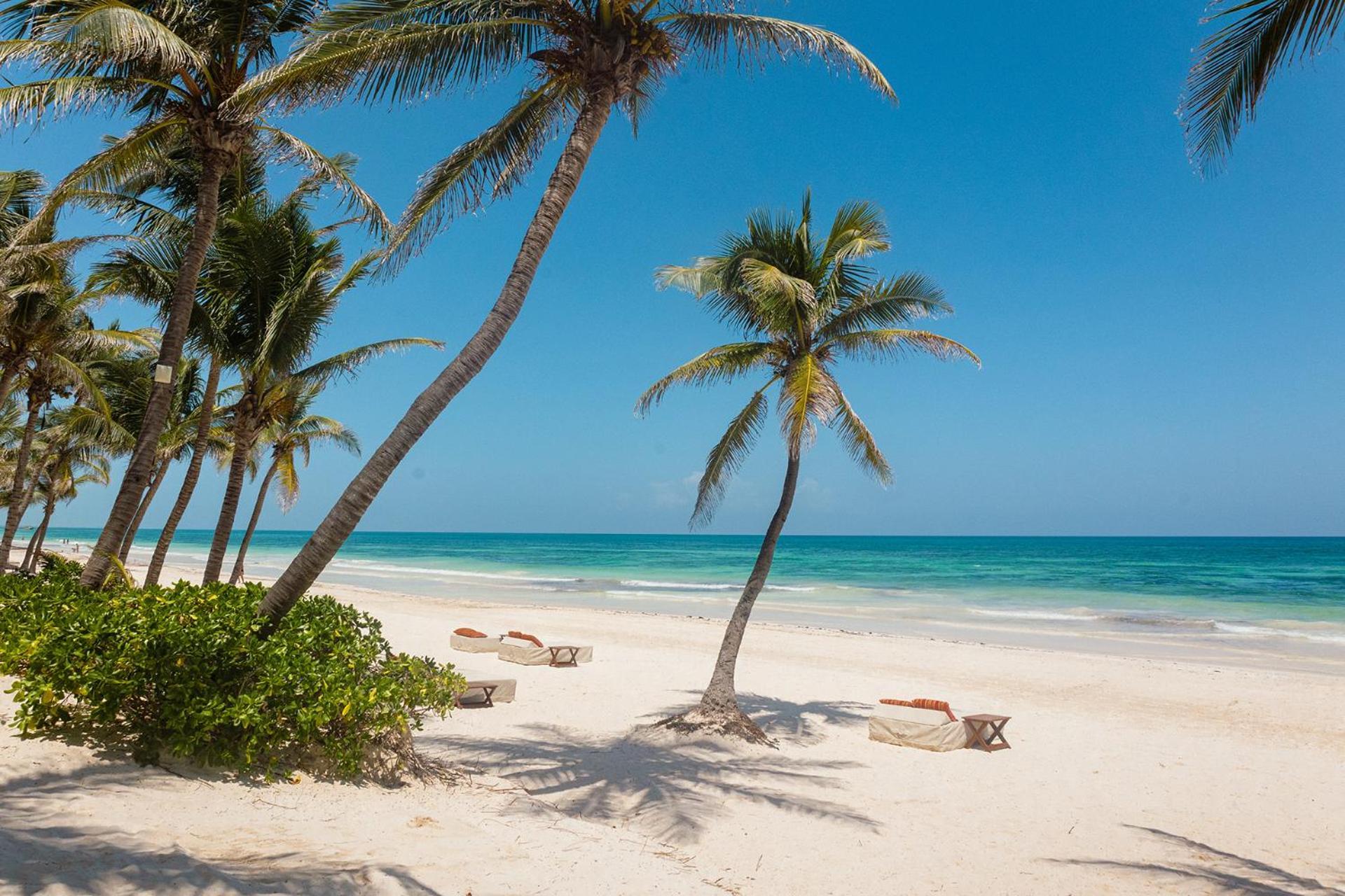 The Beach Tulum Hotel المظهر الخارجي الصورة