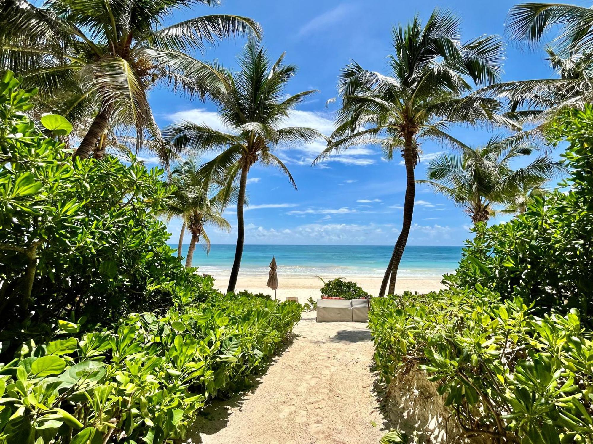 The Beach Tulum Hotel المظهر الخارجي الصورة