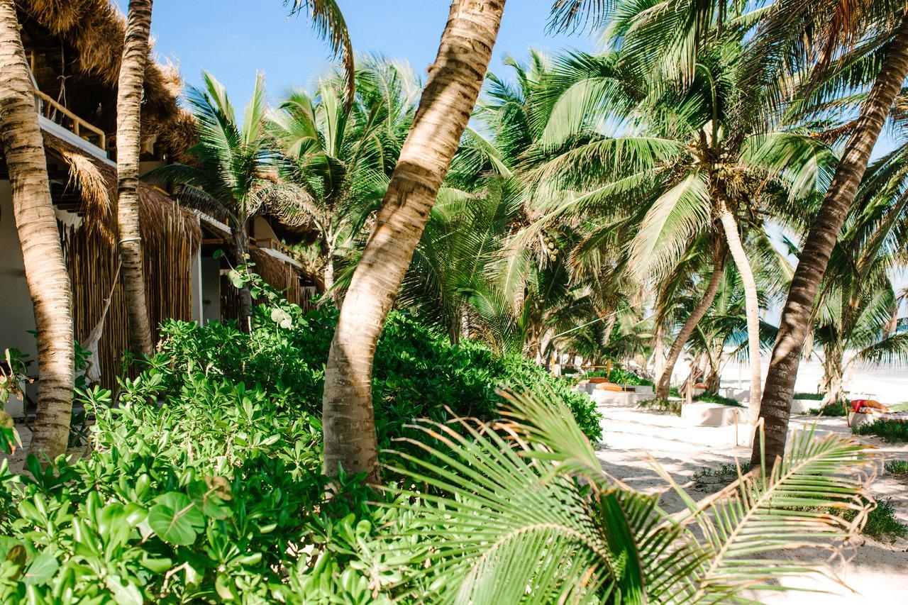 The Beach Tulum Hotel المظهر الخارجي الصورة